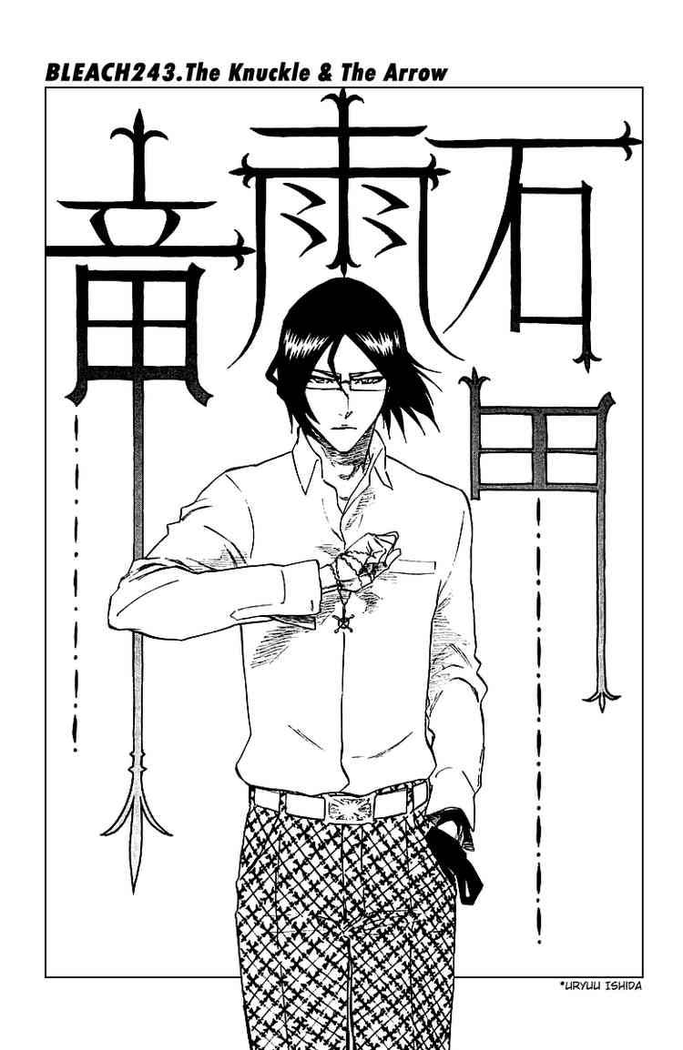 Bleach chapter 243 page 9