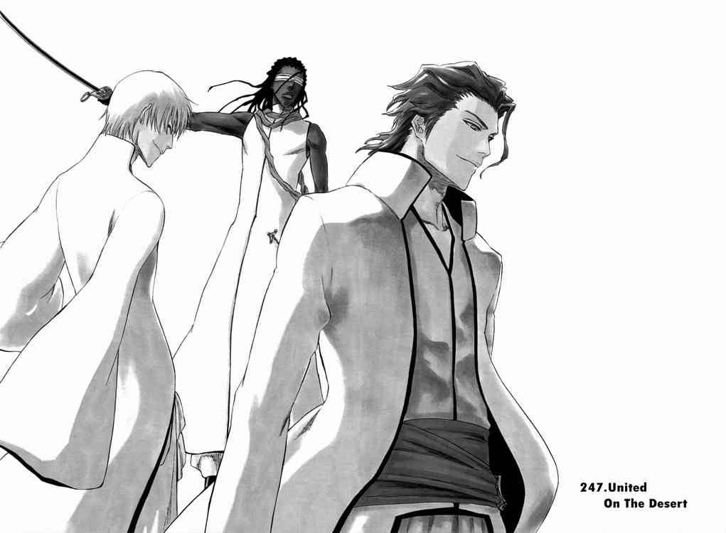 Bleach chapter 247 page 2