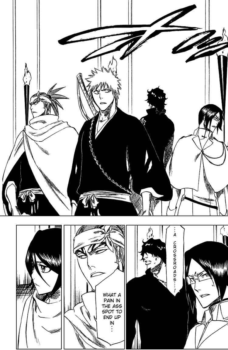Bleach chapter 248 page 9