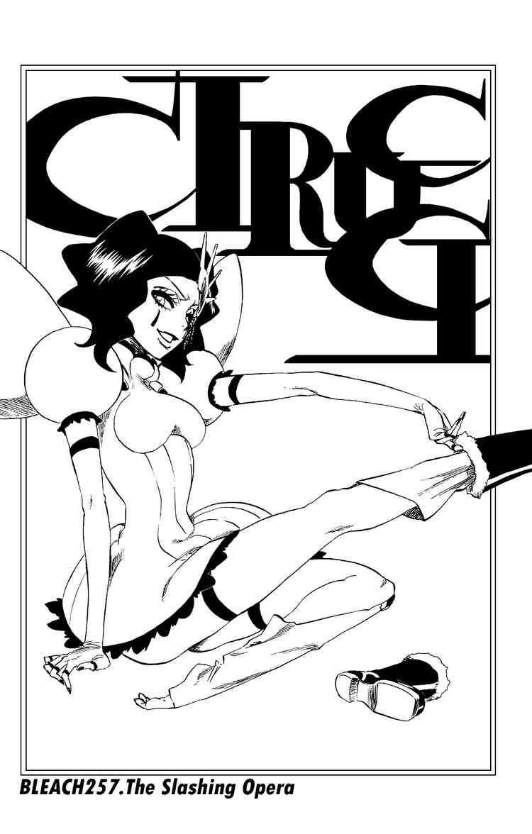 Bleach chapter 257 page 2