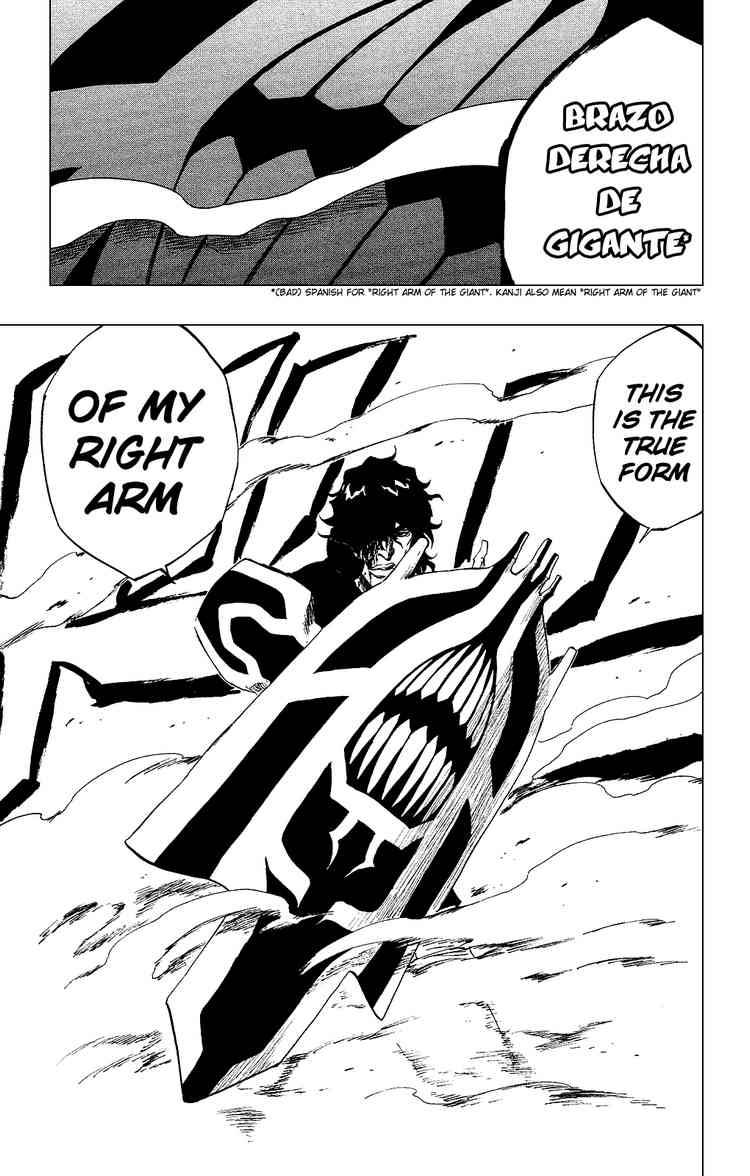 Bleach chapter 259 page 18