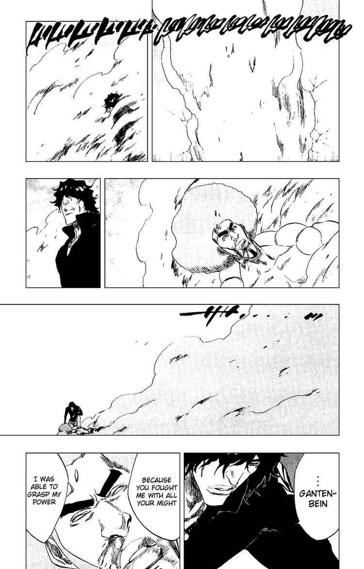 Bleach chapter 261 page 17