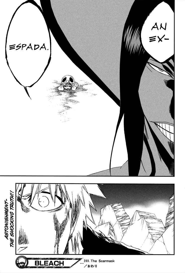 Bleach chapter 289 page 19