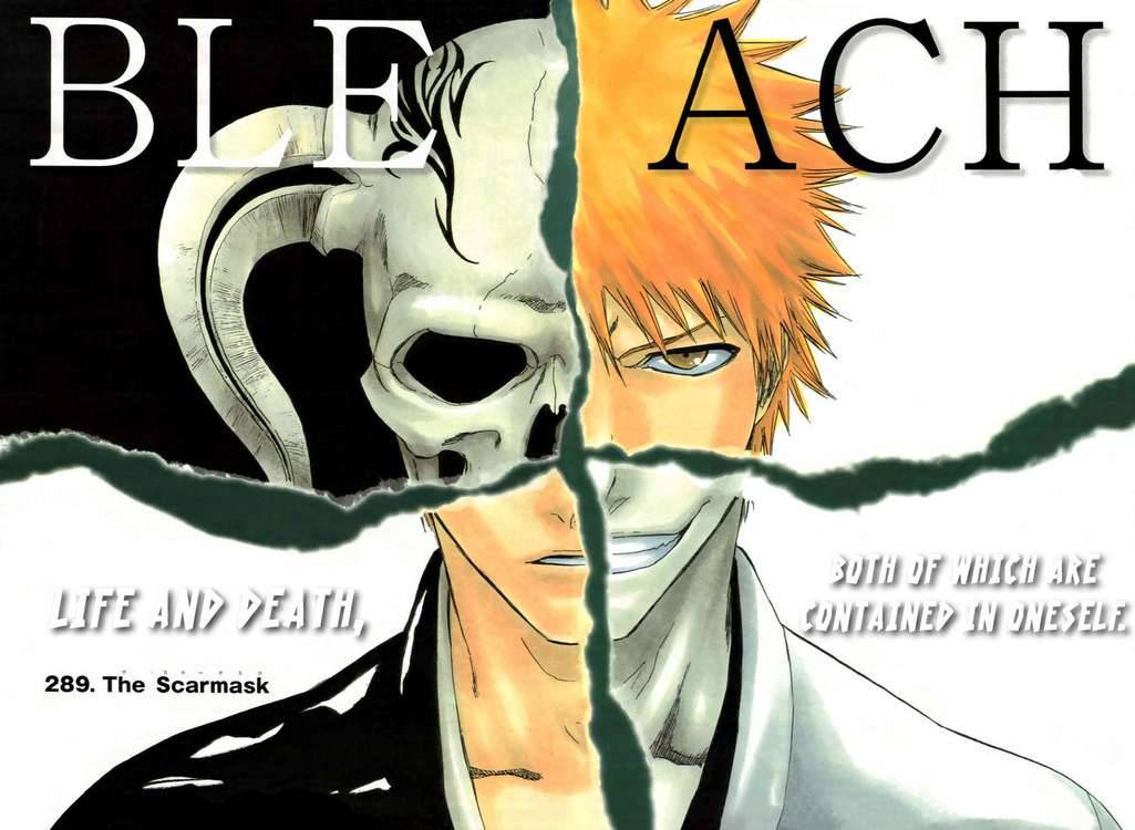 Bleach chapter 289 page 2
