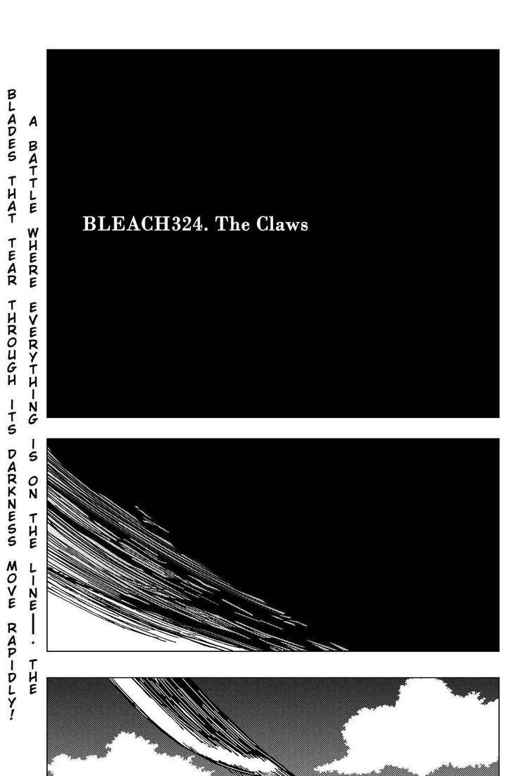Bleach chapter 324 page 2
