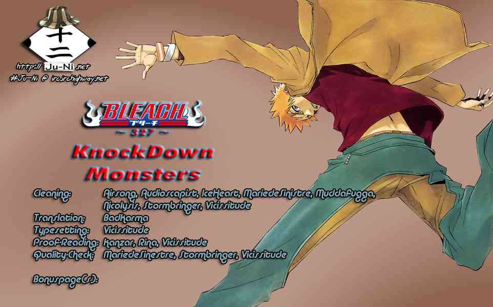 Bleach chapter 327 page 17