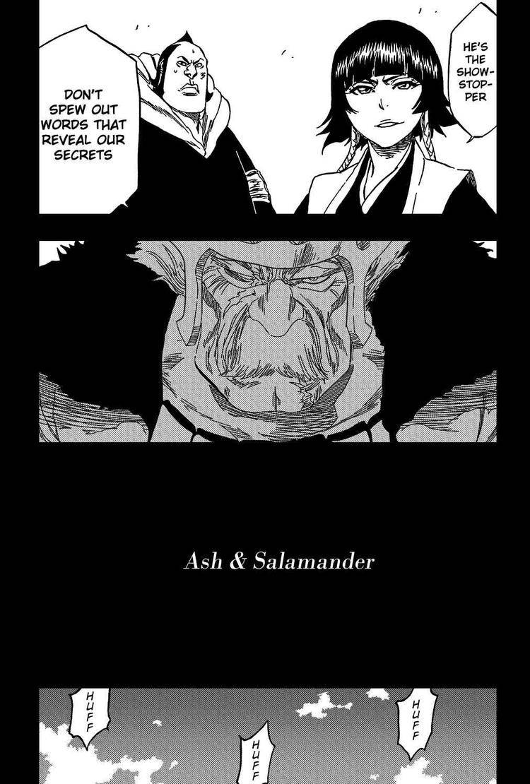 Bleach chapter 333 page 12