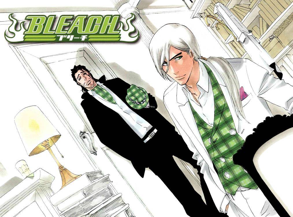 Bleach chapter 335 page 21