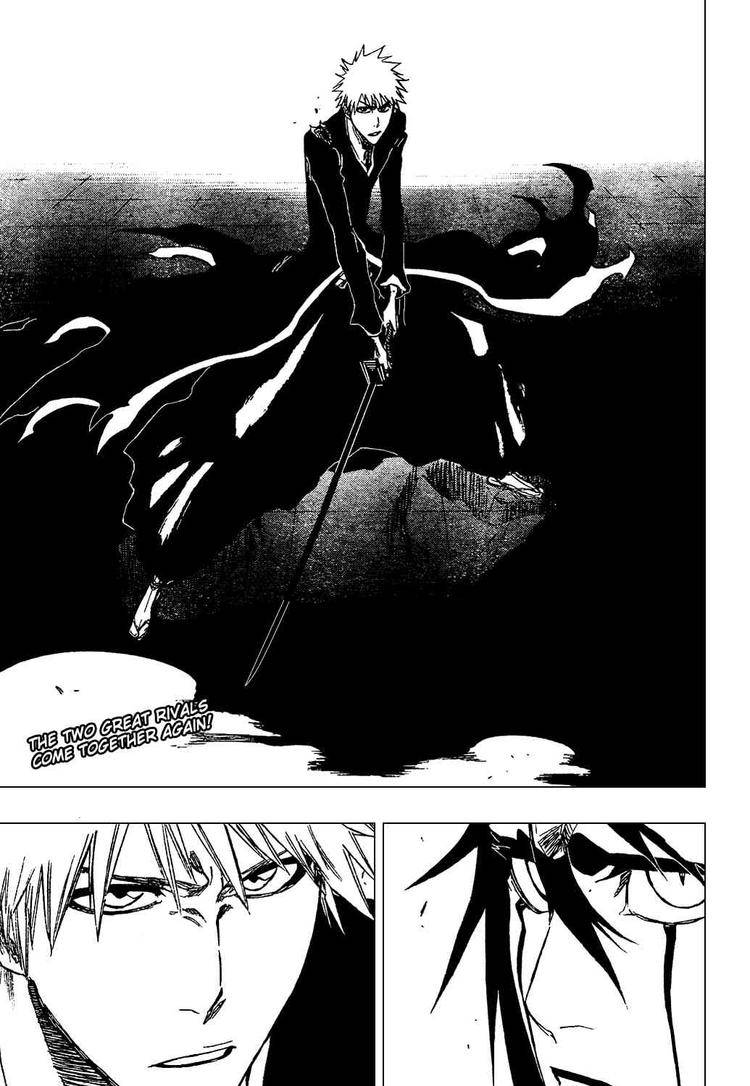 Bleach chapter 339 page 18