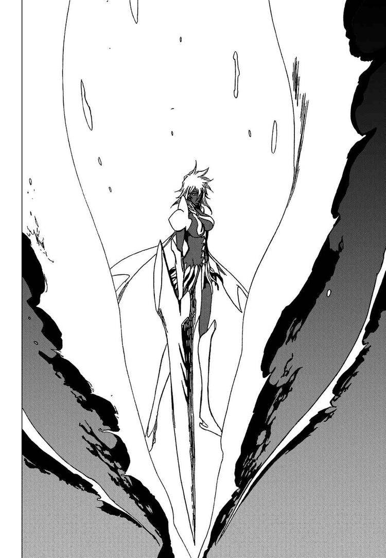 Bleach chapter 355 page 14