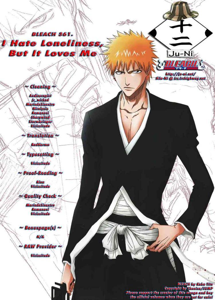 Bleach chapter 361 page 18