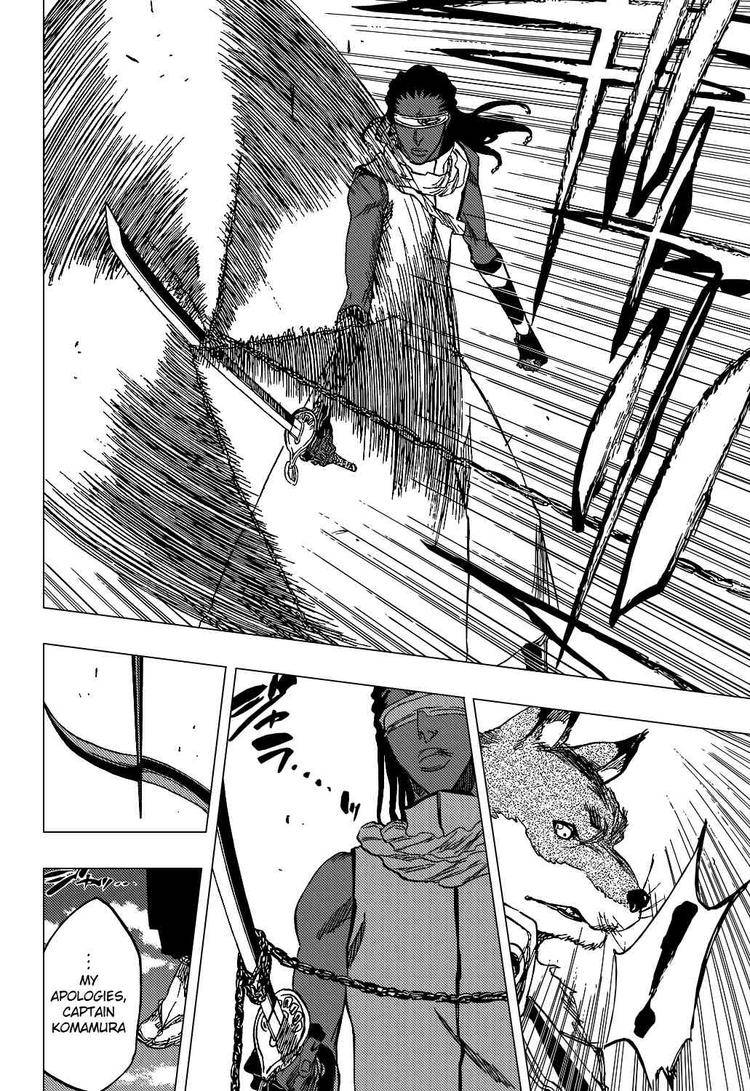 Bleach chapter 367 page 17