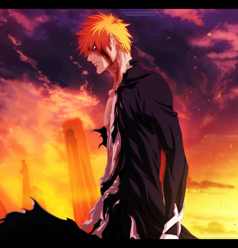 Bleach chapter 528 page 2