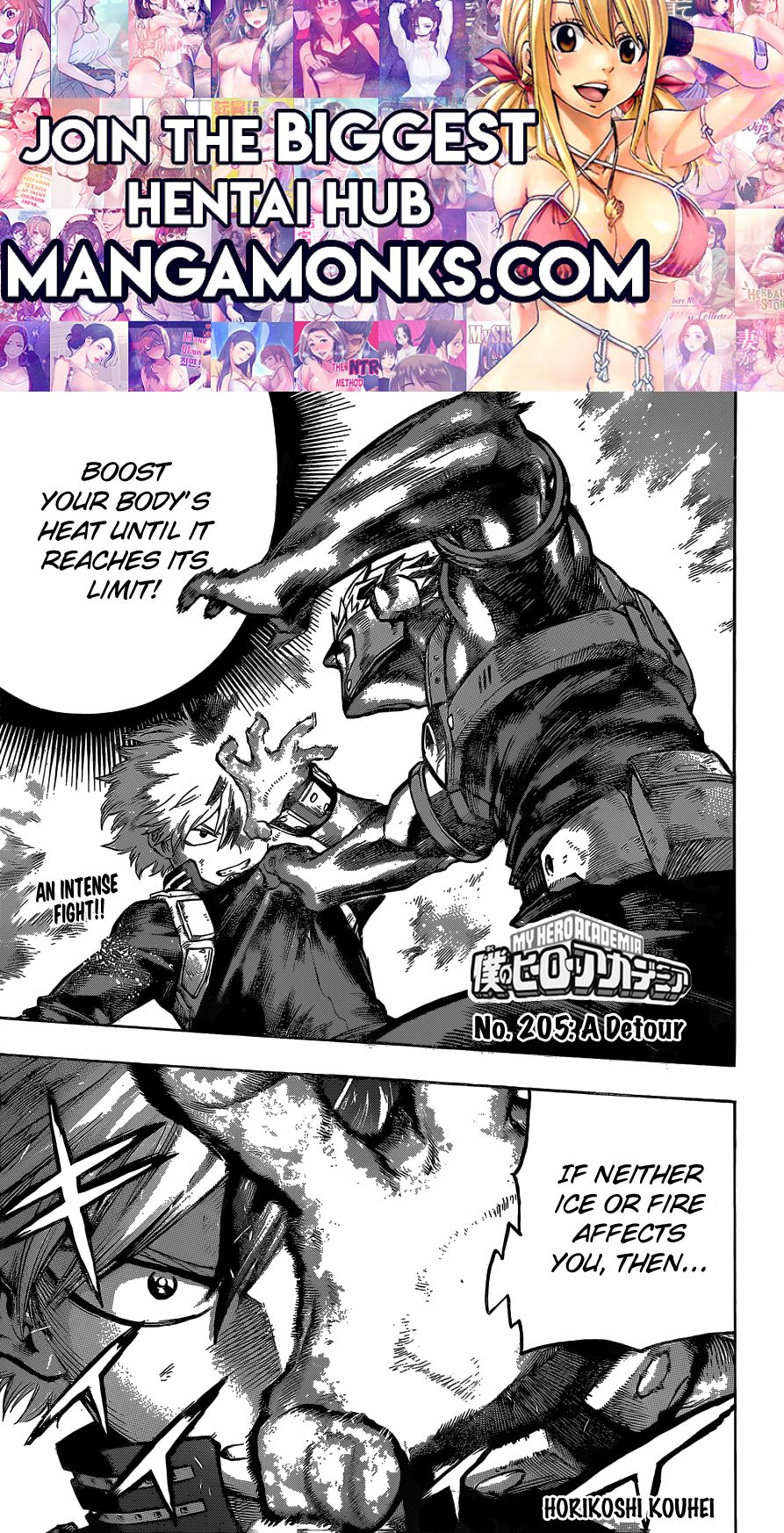 Boku no Hero Academia chapter 205 page 1