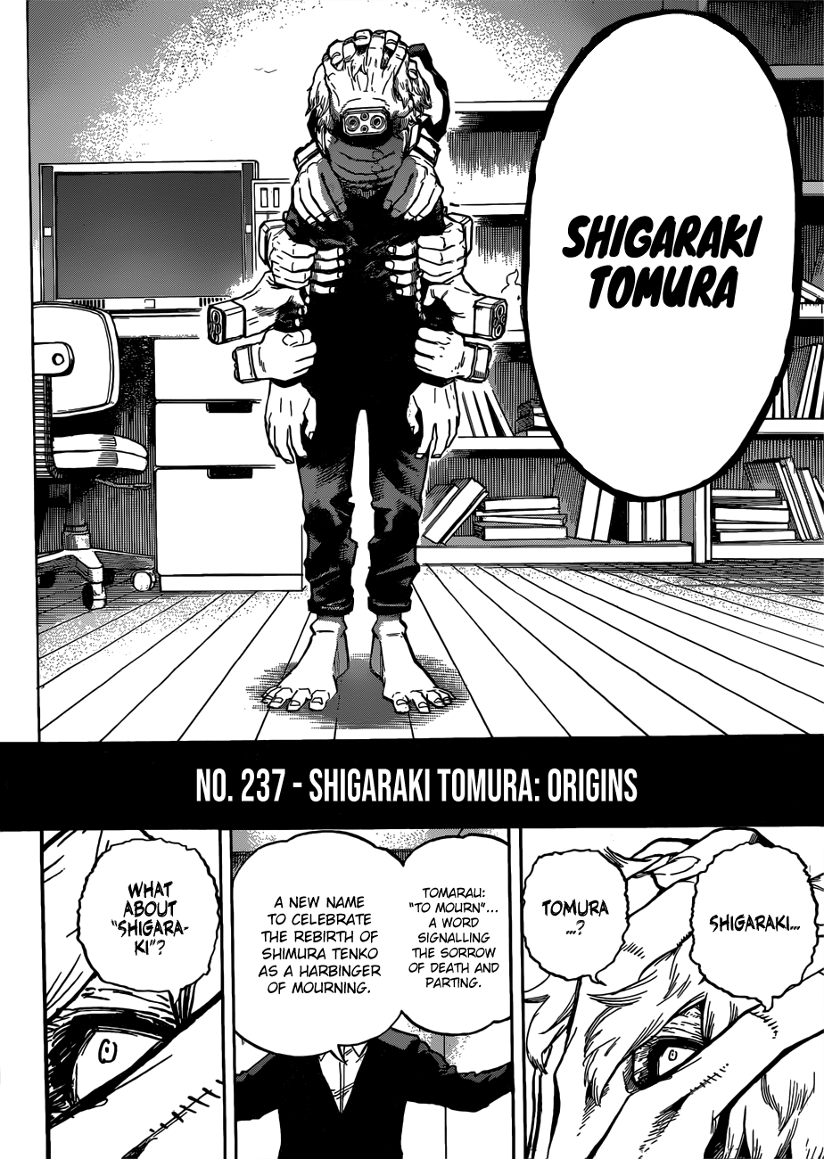 Boku no Hero Academia chapter 237 page 13