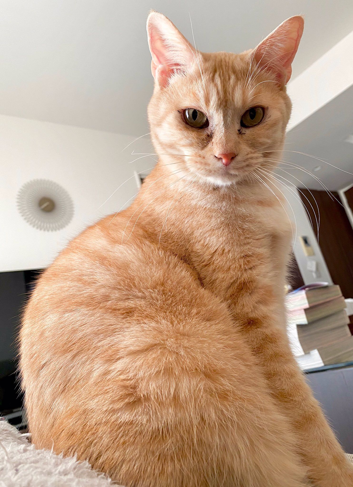 Boku no Kokoro no Yabai Yatsu chapter 40.4 page 3