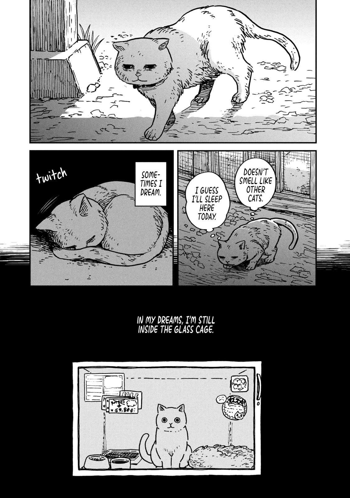 Cat Partners: Maruru and Hachi chapter 1 page 14