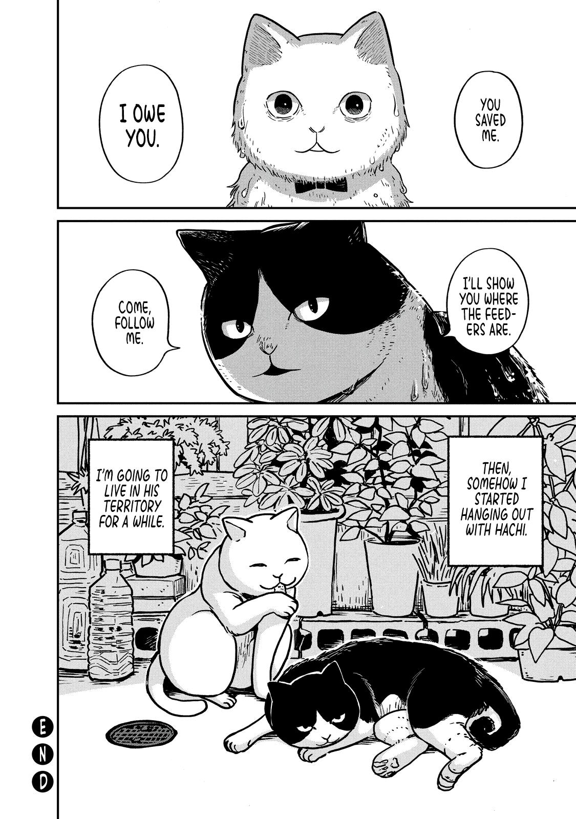 Cat Partners: Maruru and Hachi chapter 1 page 33