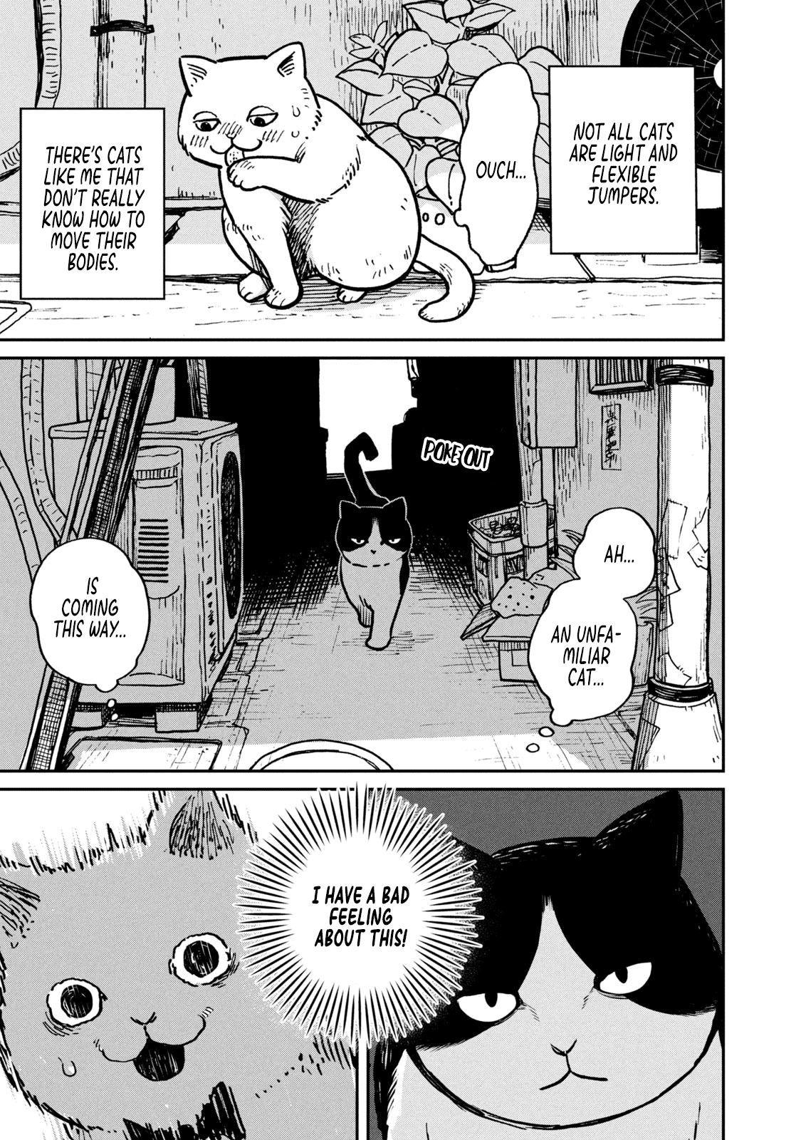 Cat Partners: Maruru and Hachi chapter 1 page 6