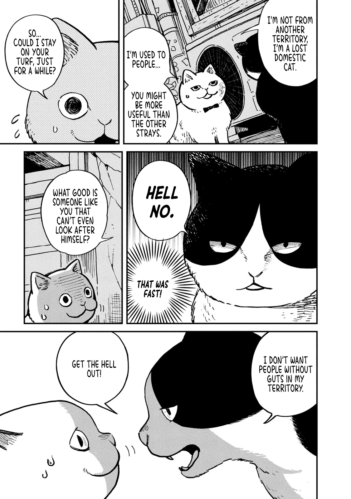 Cat Partners: Maruru and Hachi chapter 1 page 8