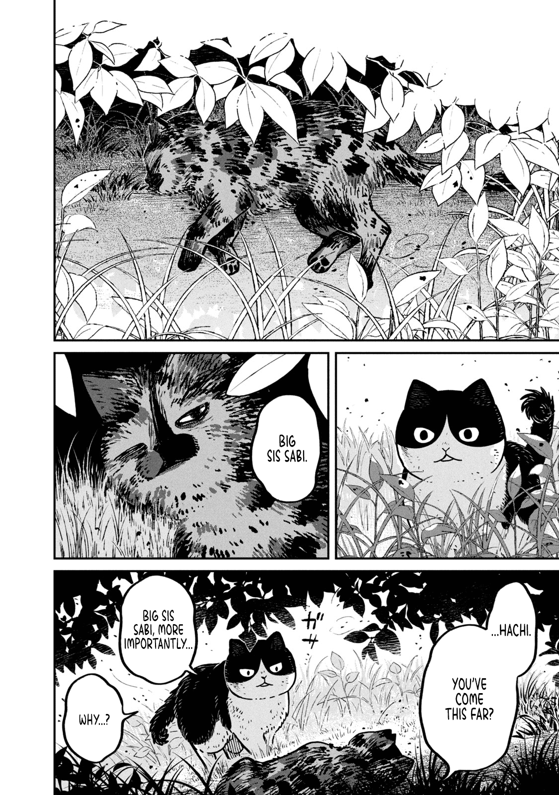 Cat Partners: Maruru and Hachi chapter 10 page 5