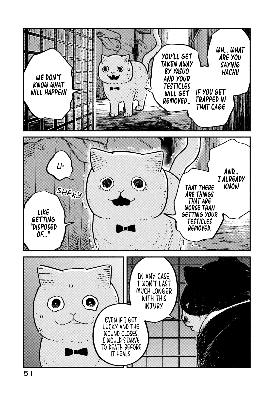 Cat Partners: Maruru and Hachi chapter 12 page 4