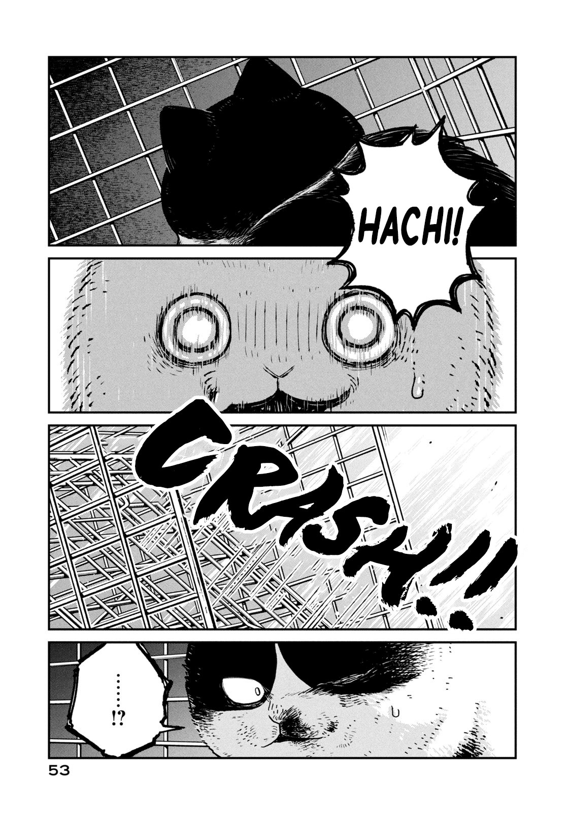 Cat Partners: Maruru and Hachi chapter 12 page 6