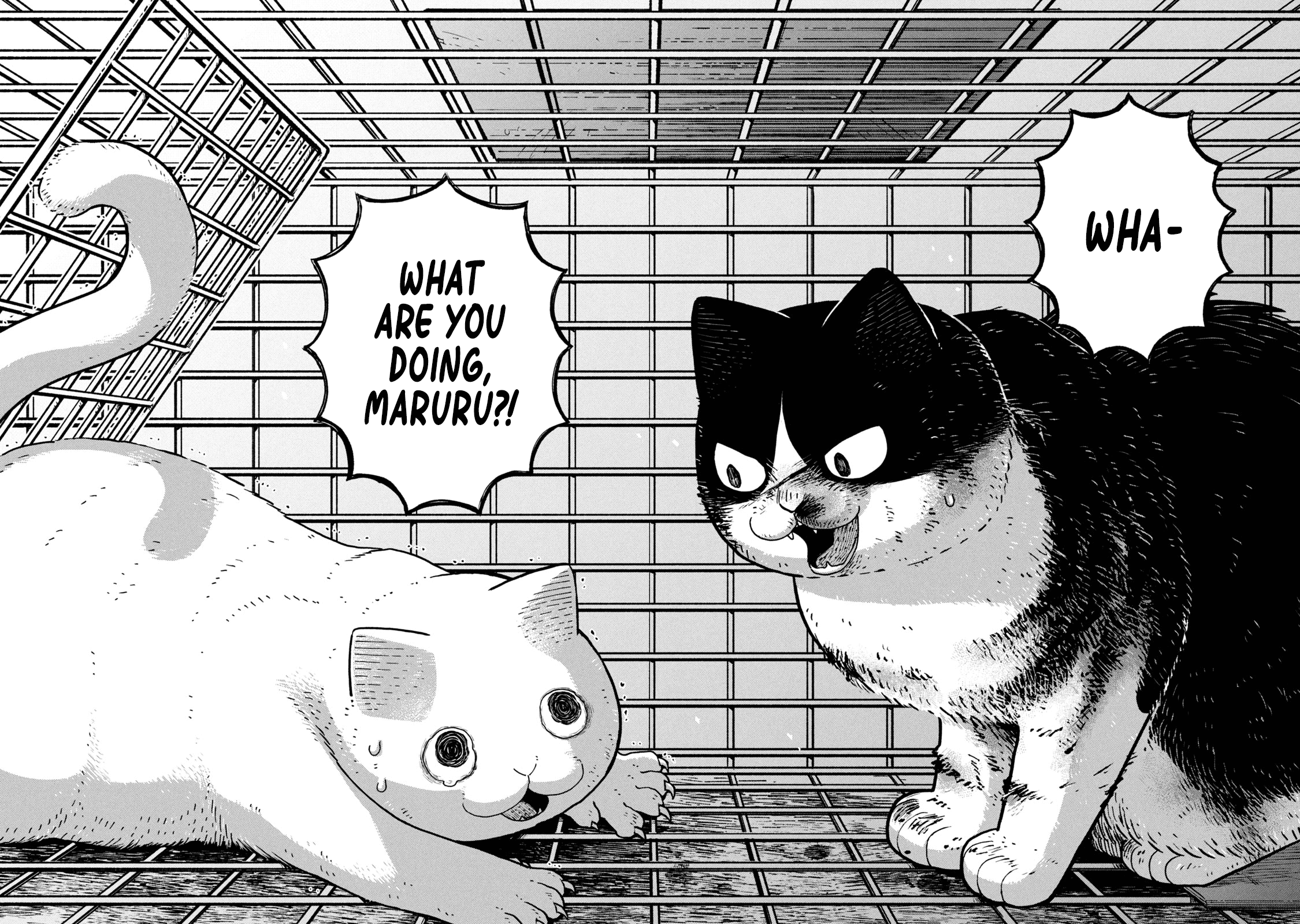 Cat Partners: Maruru and Hachi chapter 12 page 7