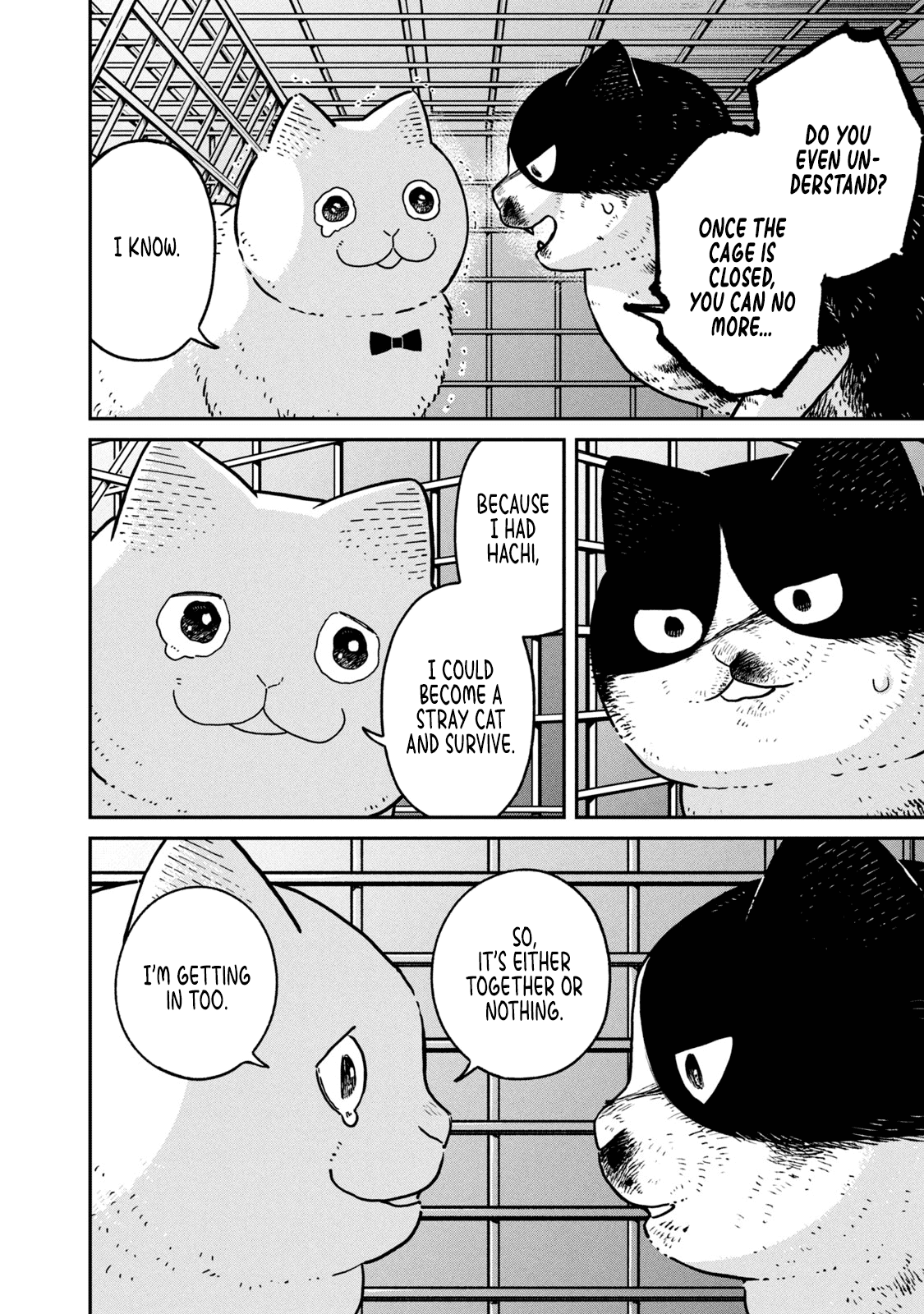 Cat Partners: Maruru and Hachi chapter 12 page 8