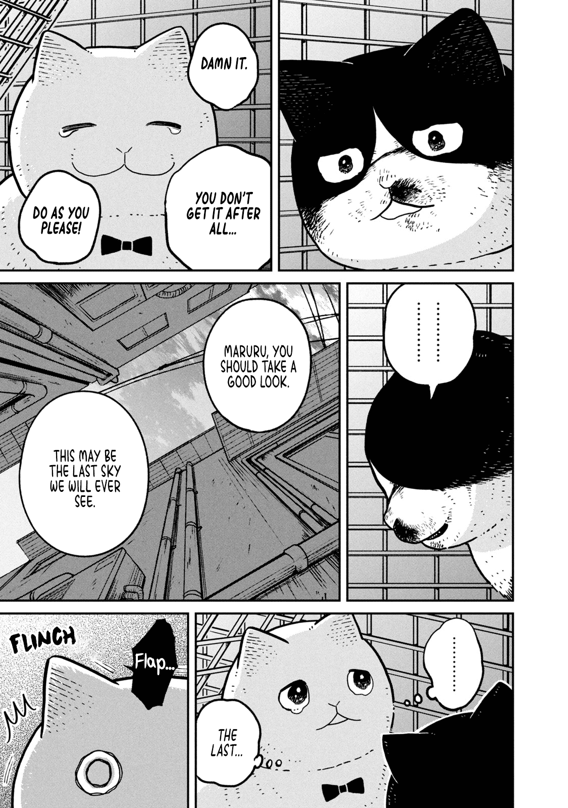 Cat Partners: Maruru and Hachi chapter 12 page 9