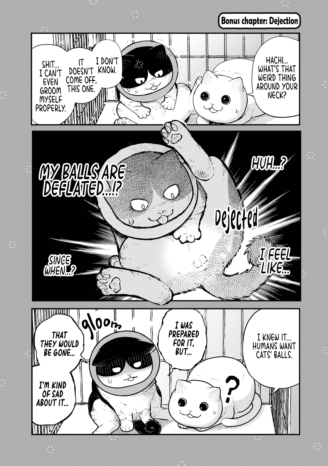 Cat Partners: Maruru and Hachi chapter 14.1 page 1