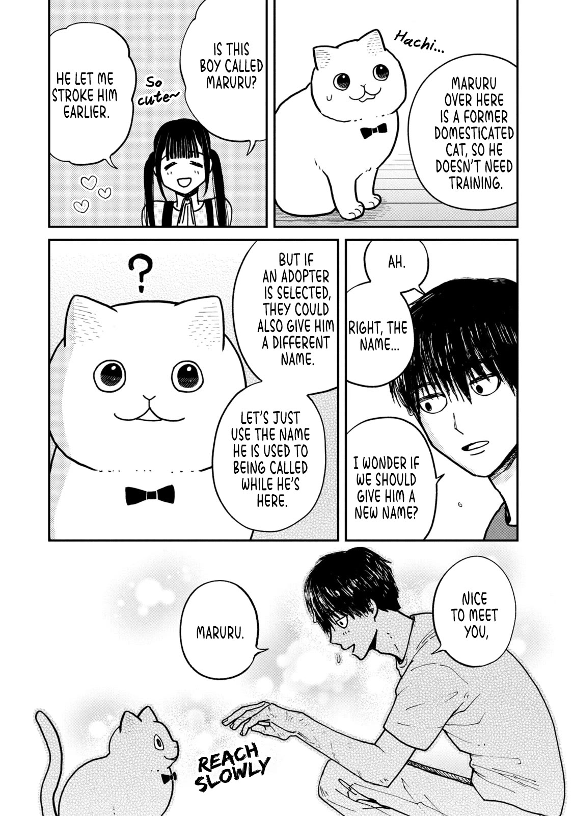 Cat Partners: Maruru and Hachi chapter 15 page 12