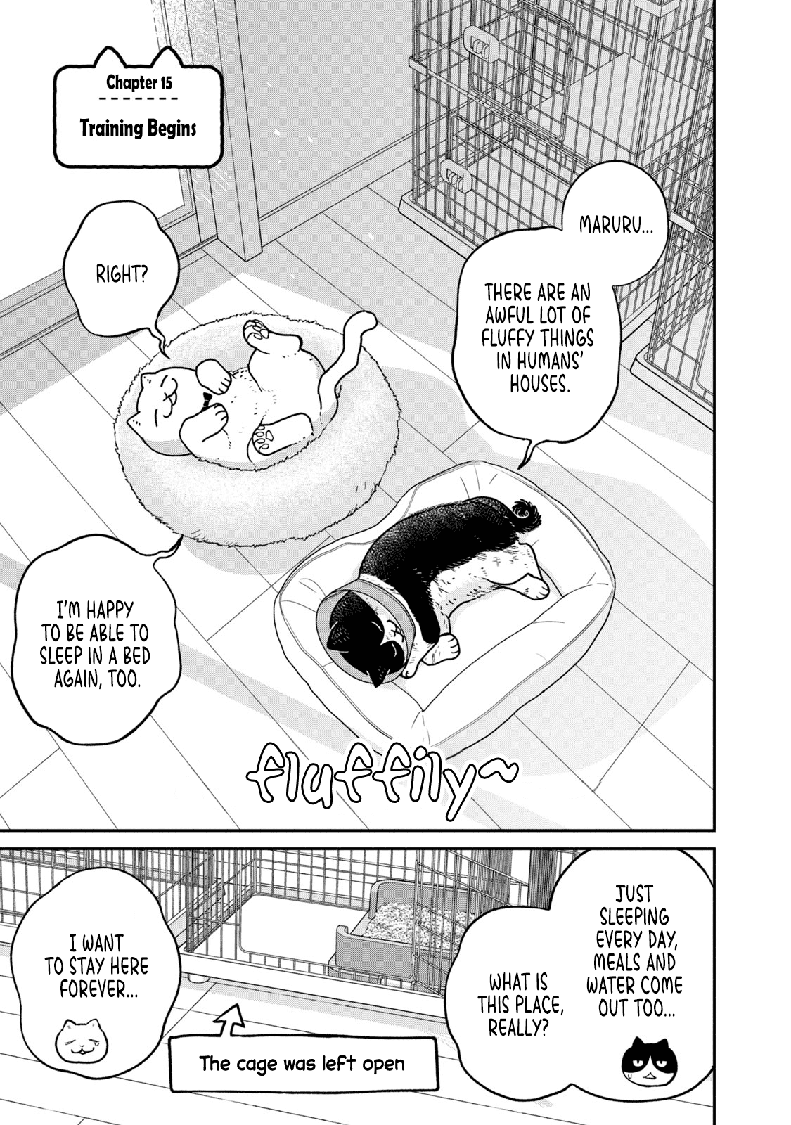 Cat Partners: Maruru and Hachi chapter 15 page 2