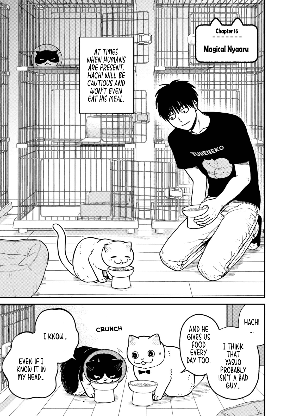 Cat Partners: Maruru and Hachi chapter 16 page 2