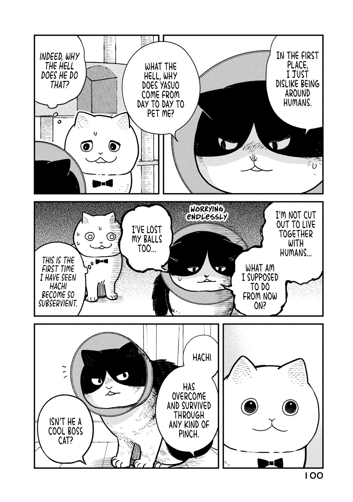 Cat Partners: Maruru and Hachi chapter 16 page 3