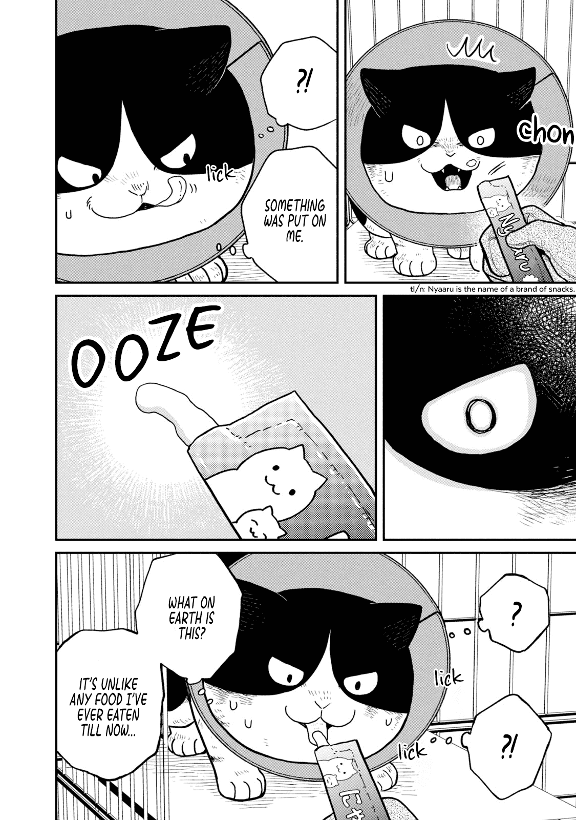 Cat Partners: Maruru and Hachi chapter 16 page 5