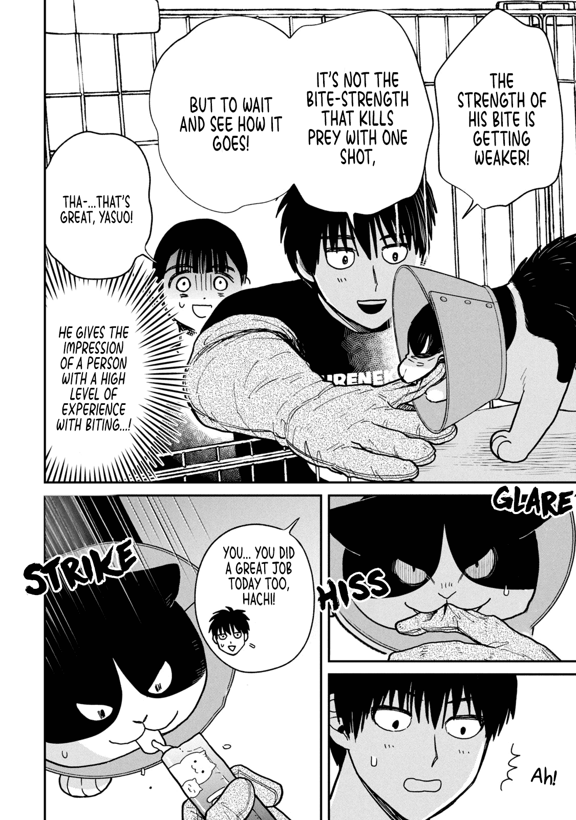 Cat Partners: Maruru and Hachi chapter 16 page 9