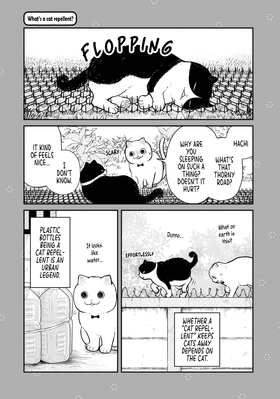 Cat Partners: Maruru and Hachi chapter 18.1 page 10