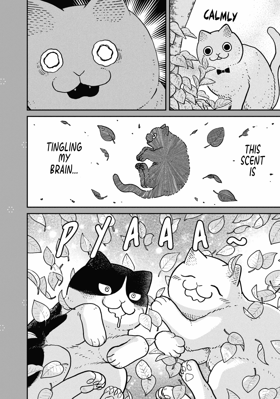 Cat Partners: Maruru and Hachi chapter 18.1 page 15