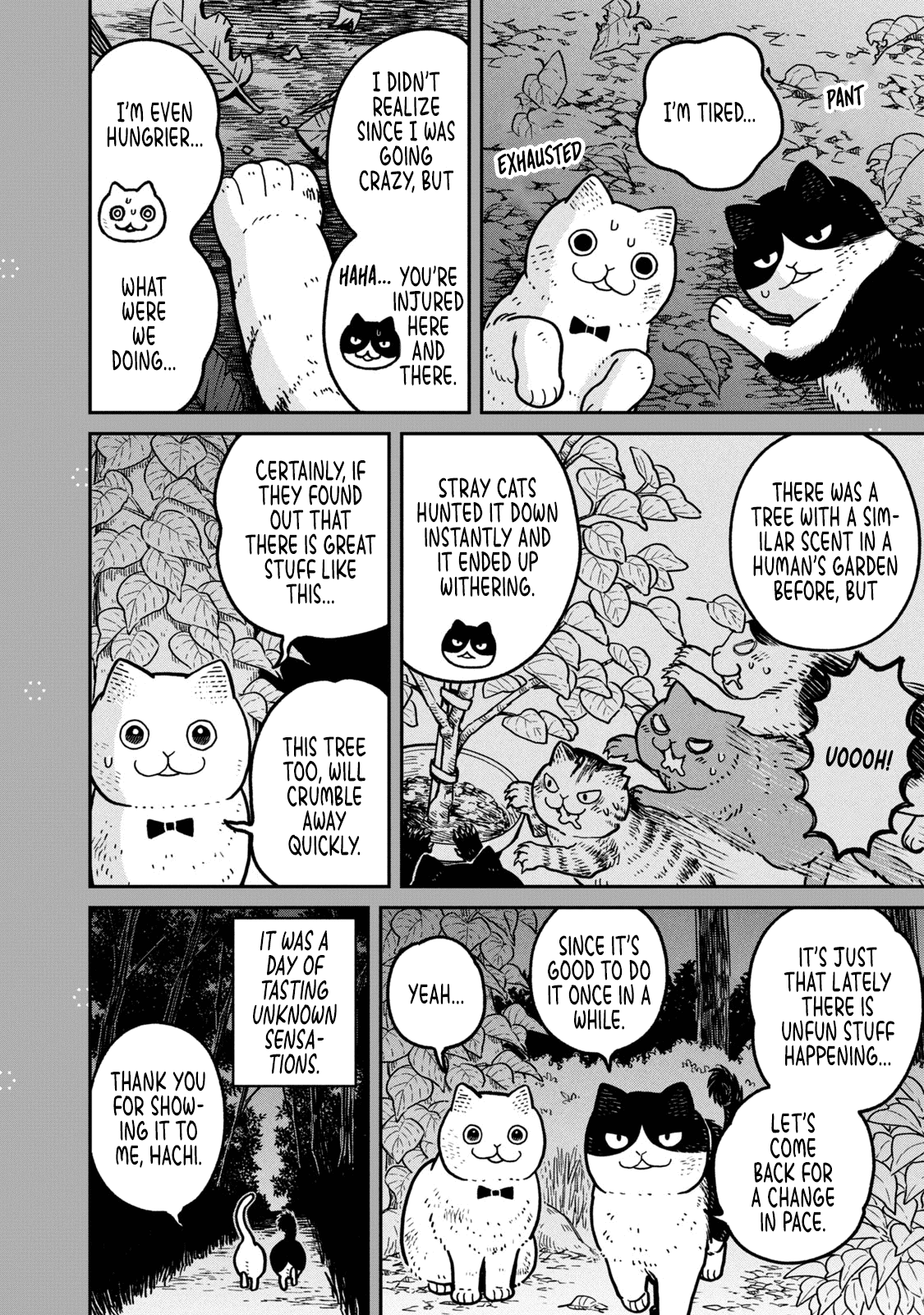 Cat Partners: Maruru and Hachi chapter 18.1 page 17