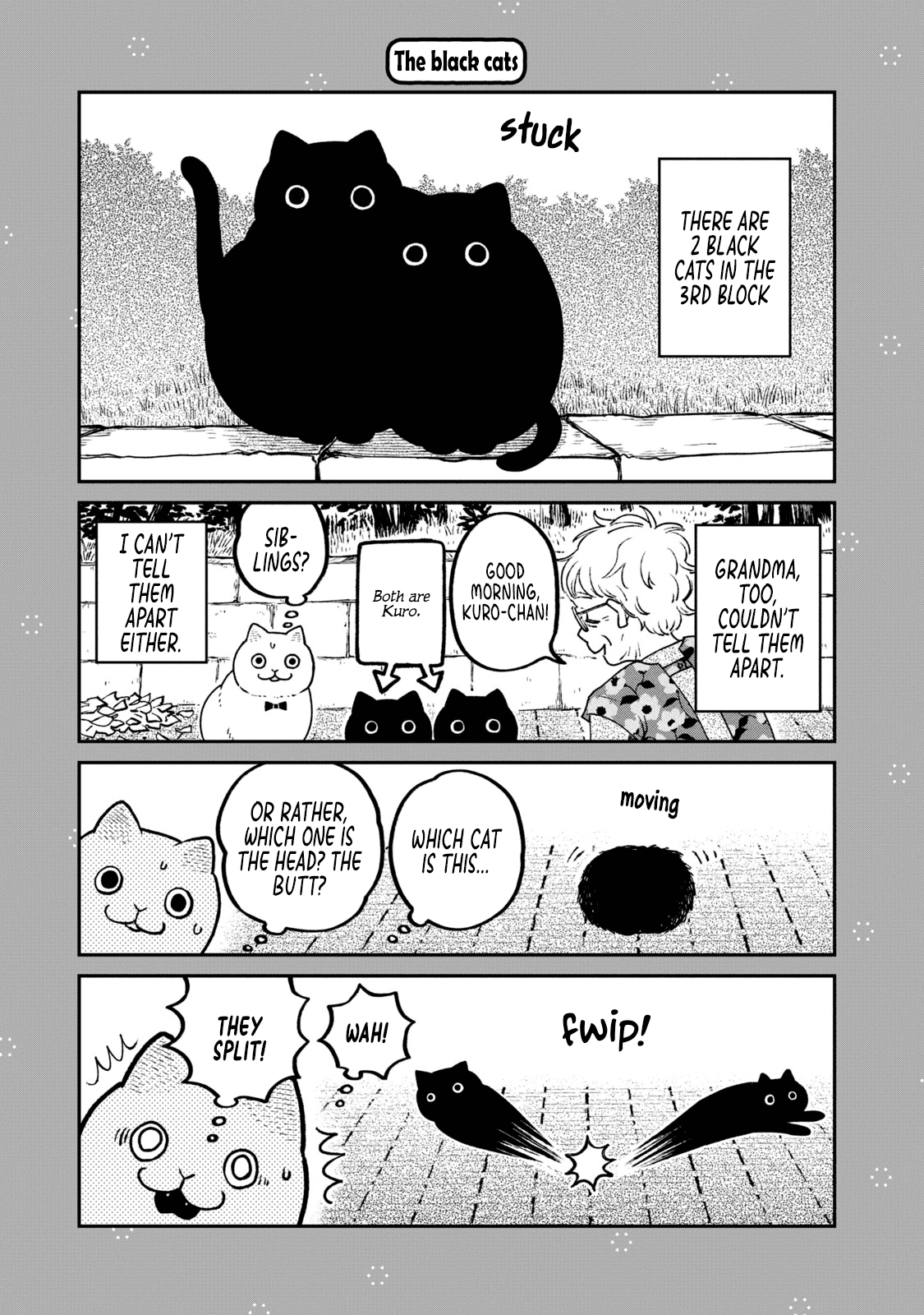 Cat Partners: Maruru and Hachi chapter 18.1 page 2
