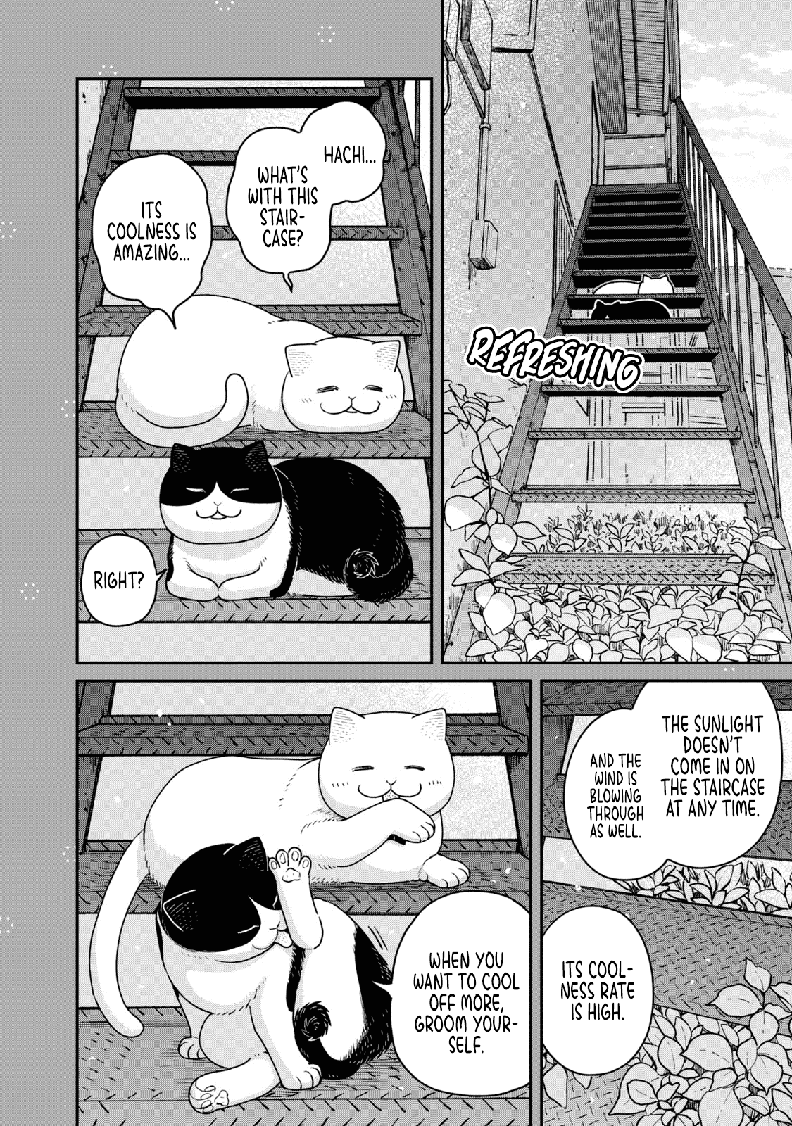 Cat Partners: Maruru and Hachi chapter 18.1 page 7