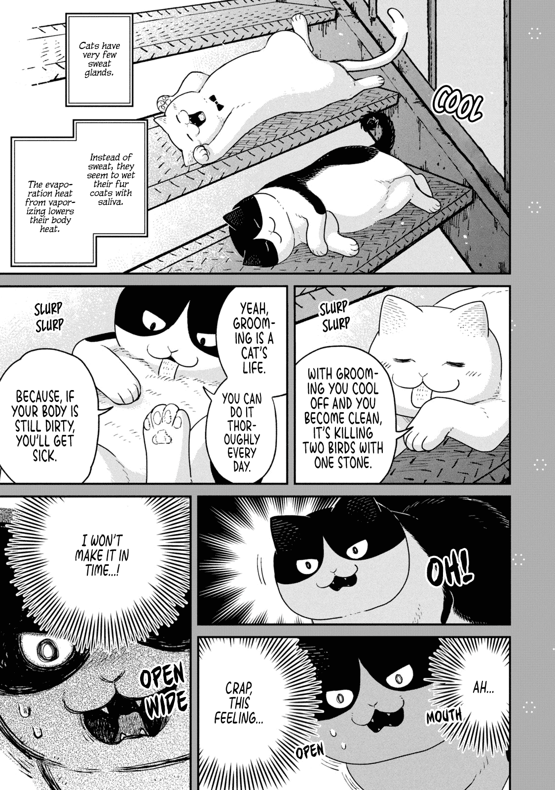 Cat Partners: Maruru and Hachi chapter 18.1 page 8