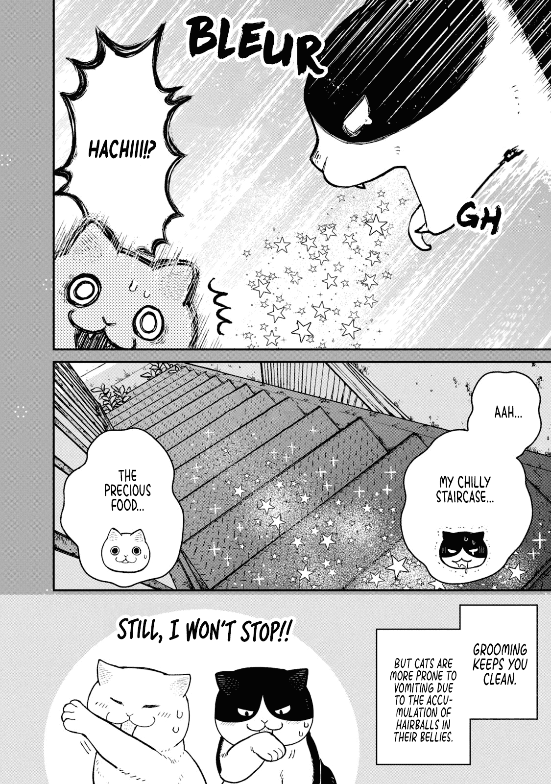 Cat Partners: Maruru and Hachi chapter 18.1 page 9