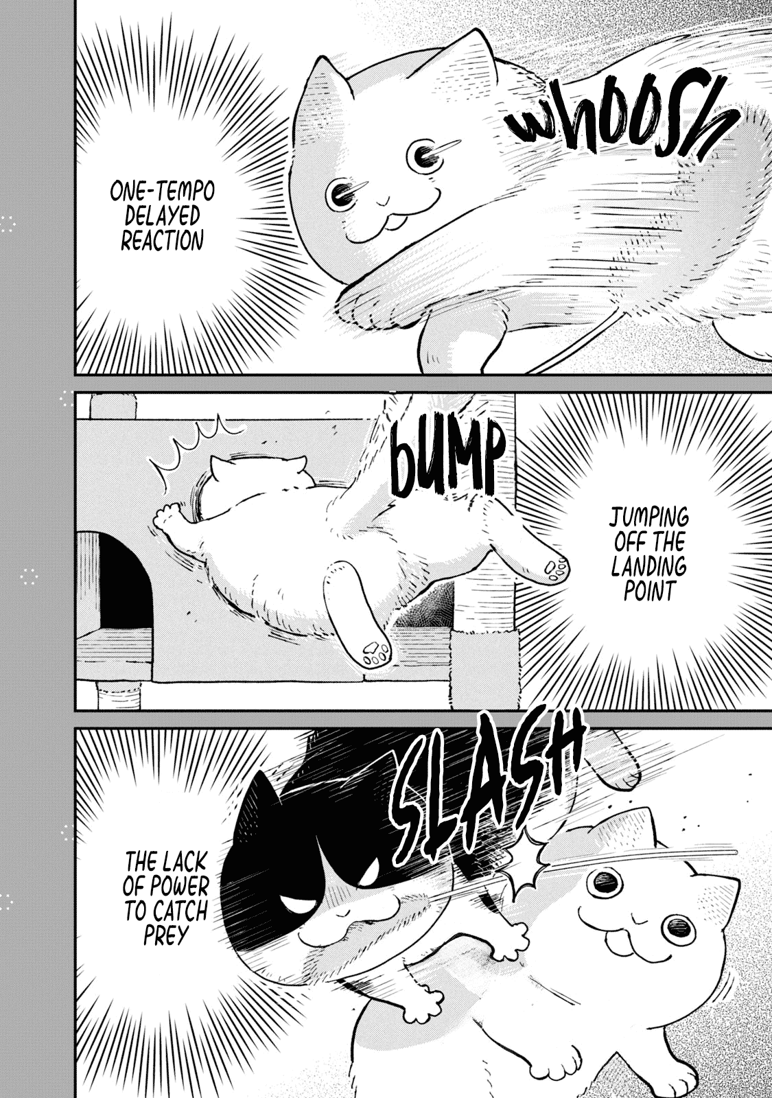 Cat Partners: Maruru and Hachi chapter 19.1 page 2