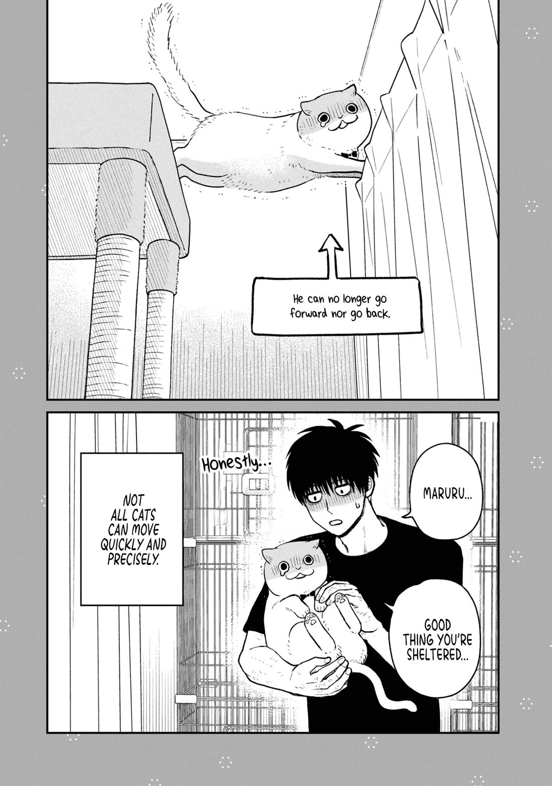 Cat Partners: Maruru and Hachi chapter 19.1 page 3