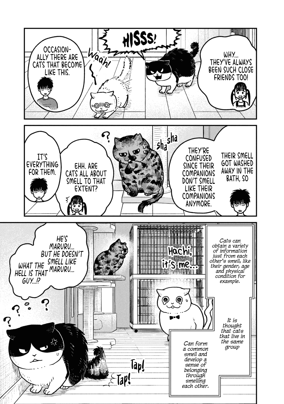 Cat Partners: Maruru and Hachi chapter 19 page 13