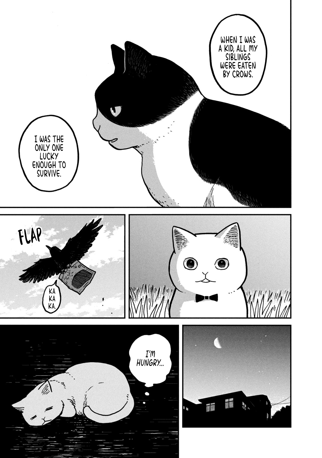 Cat Partners: Maruru and Hachi chapter 2 page 18