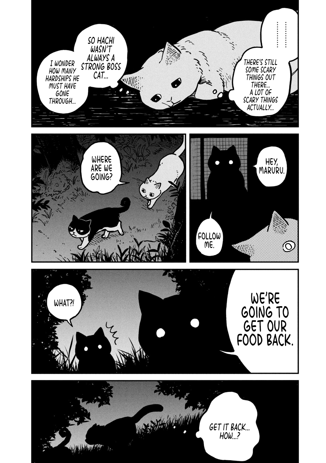 Cat Partners: Maruru and Hachi chapter 2 page 19