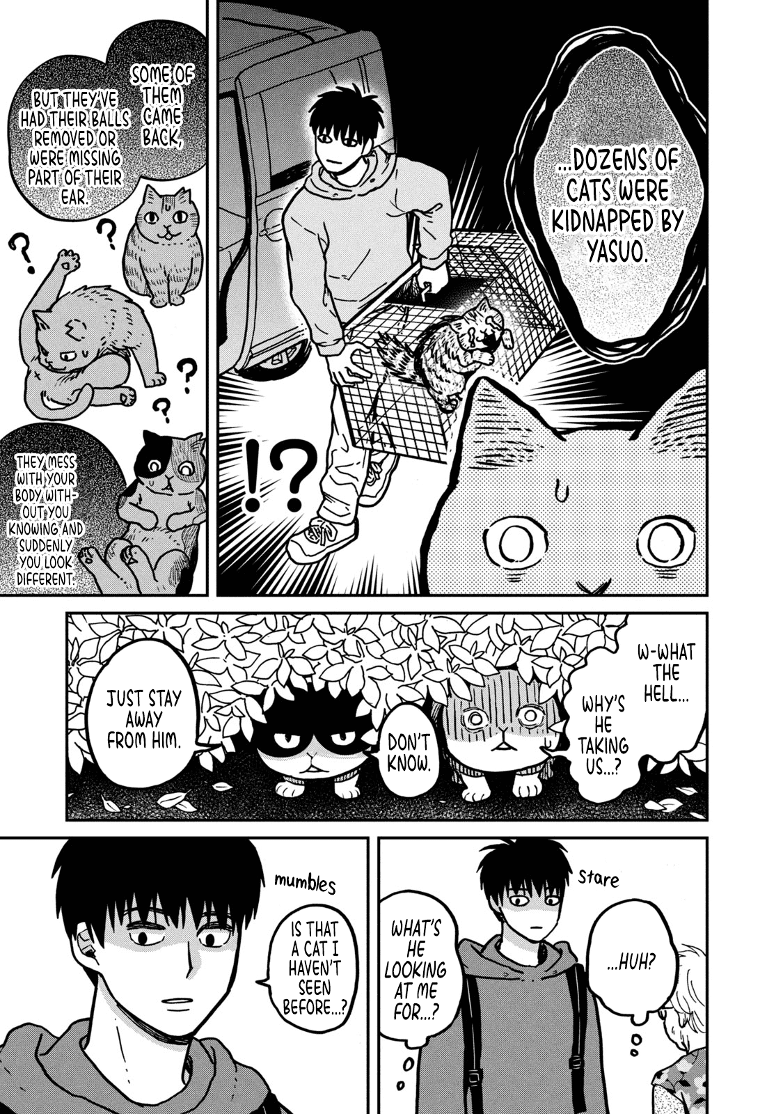 Cat Partners: Maruru and Hachi chapter 2 page 8